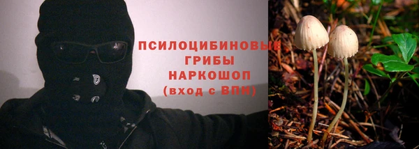 дживик Карталы