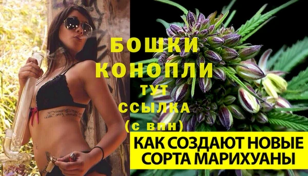 дживик Карталы