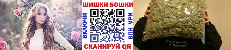 Купить  Великий Устюг  Каннабис ГИДРОПОН 
